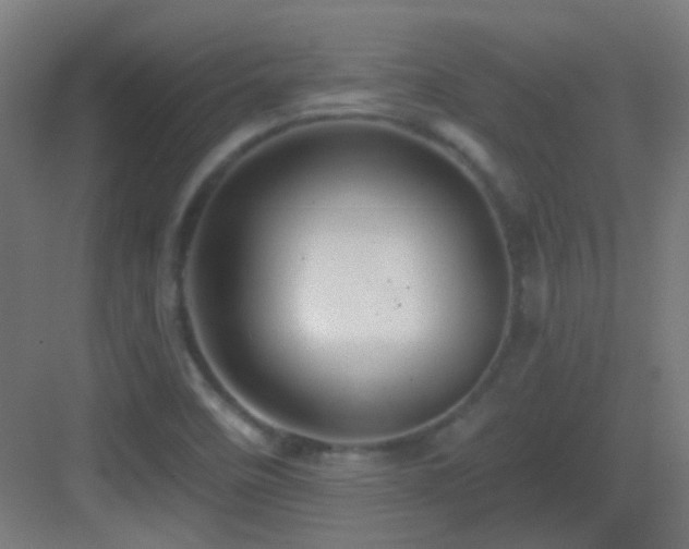X0000083551458200702091046