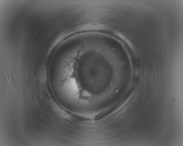 X0000083551459200702091046