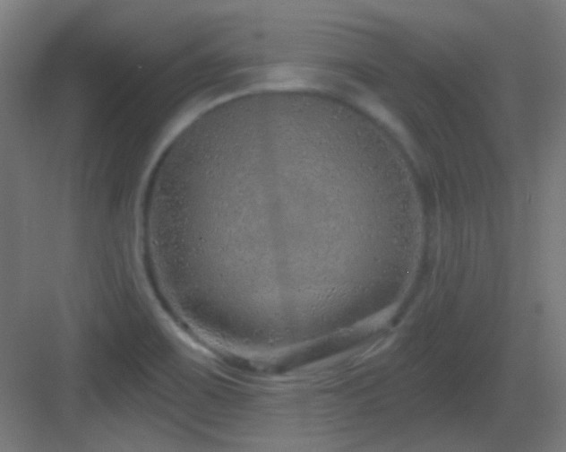 X0000083551467200702091046