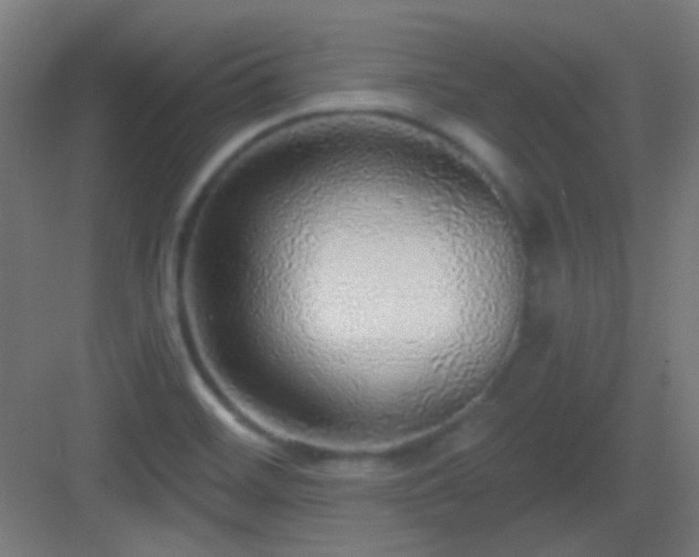 X0000083551468200702091046