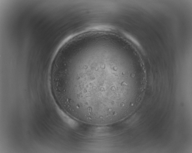 X0000083551471200702091046