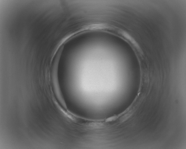 X0000083551473200702091046