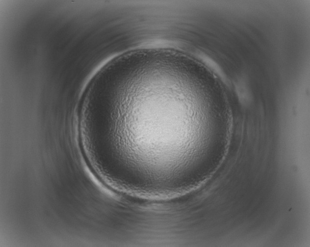 X0000083551476200702091046