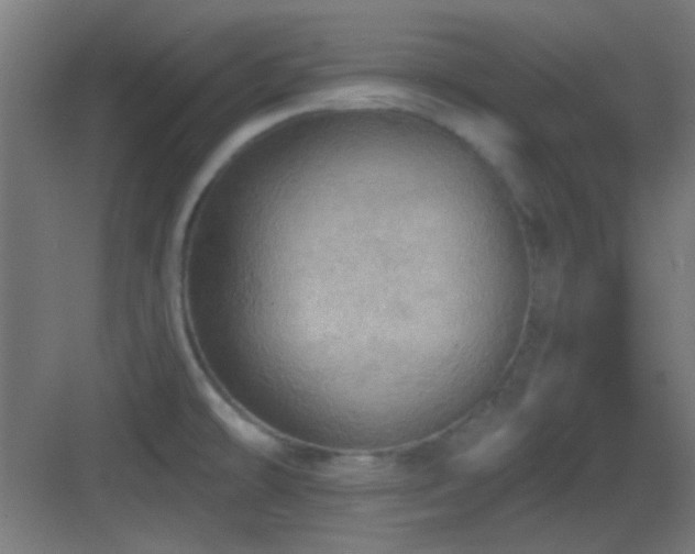 X0000083551478200702091045