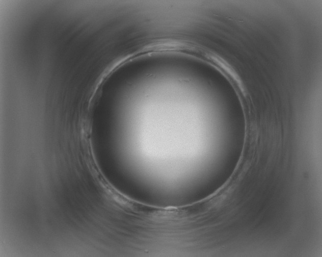 X0000083551481200702091045