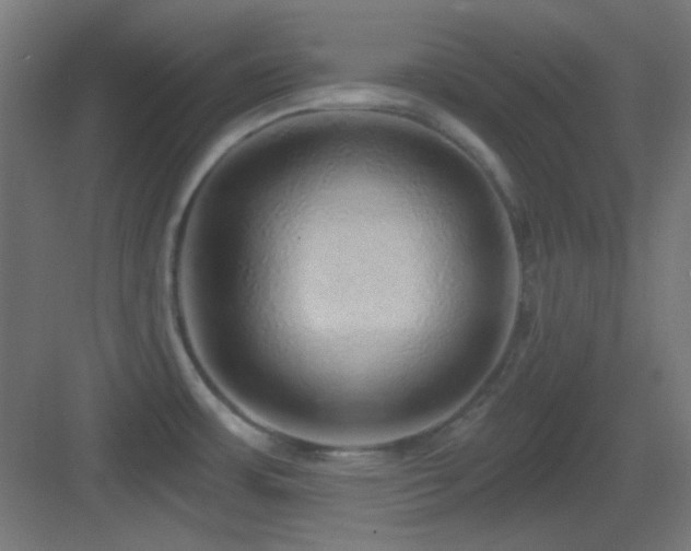 X0000083551483200702091045