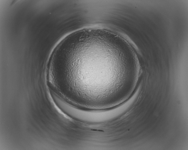 X0000083551484200702091045