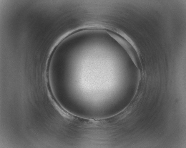 X0000083551485200702091045