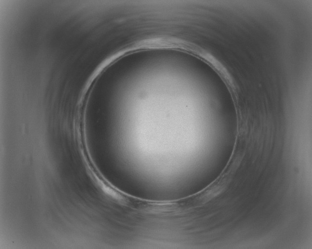 X0000083551486200702091045