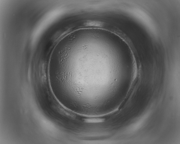 X0000083551487200702091045