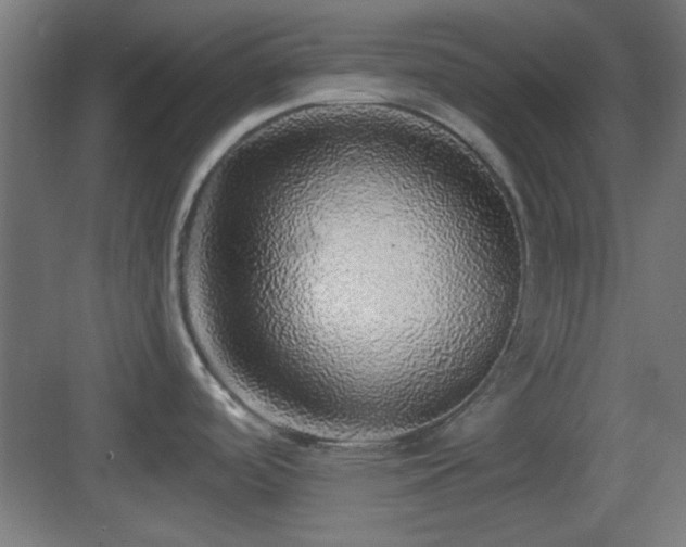 X0000083551488200702091045