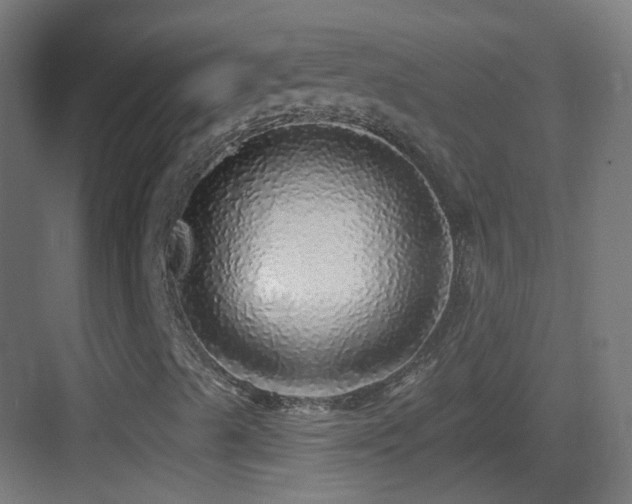 X0000083551489200702091045