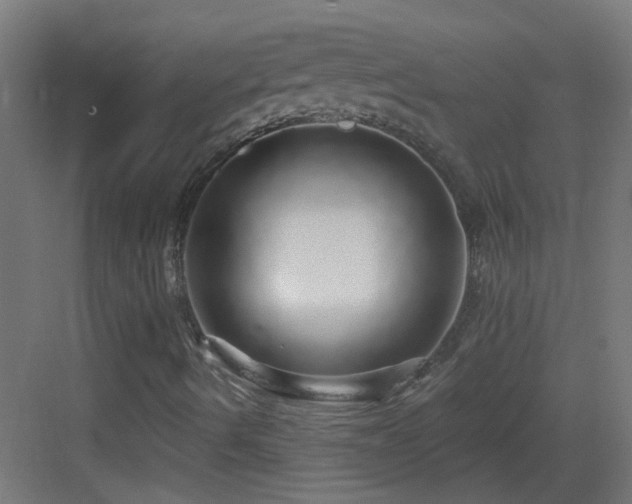 X0000083551490200702091045
