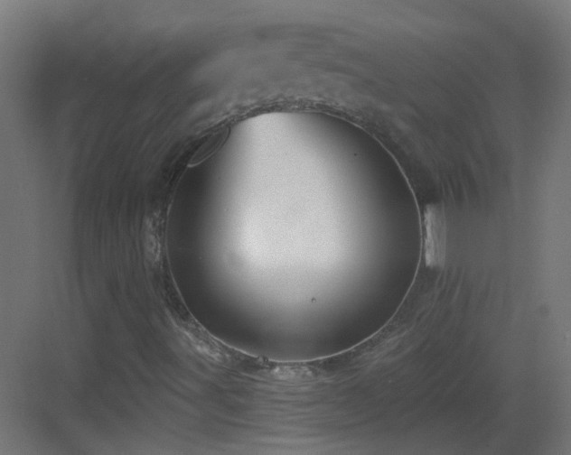 X0000083551491200702091045