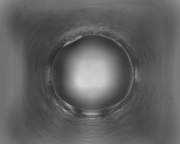 X0000083551492200702091045