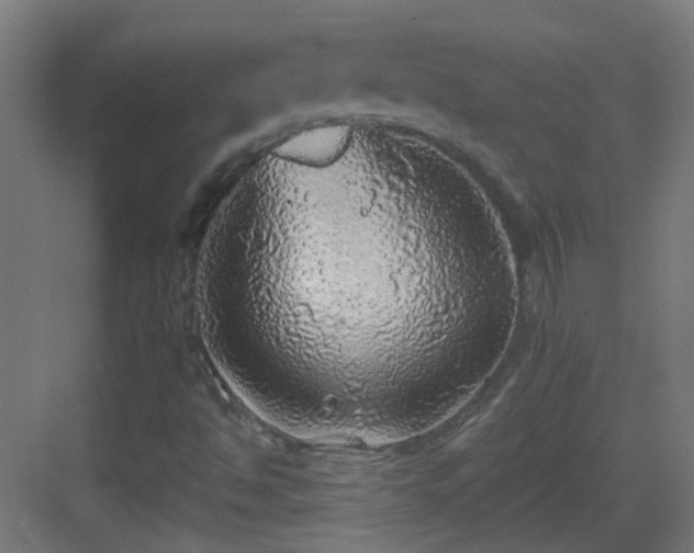 X0000083551494200702091045