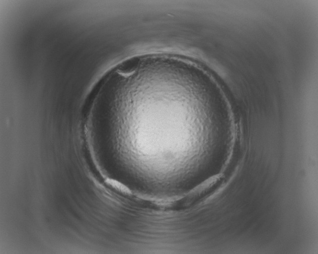 X0000083551501200702091045