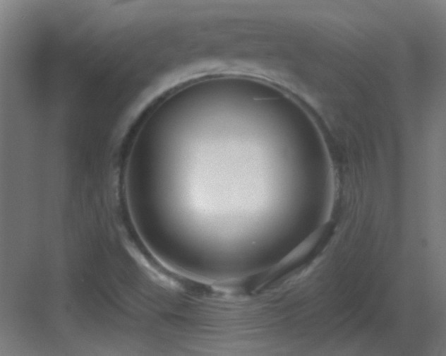 X0000083551503200702091045