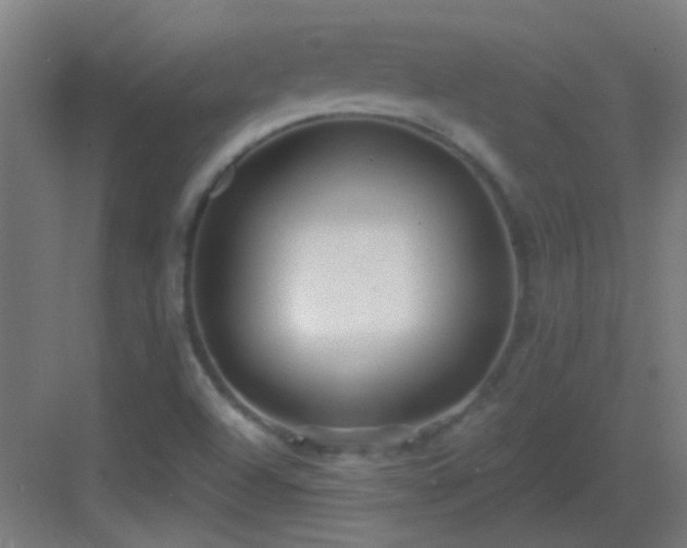 X0000083551504200702091045