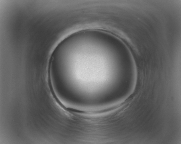 X0000083551512200702091045
