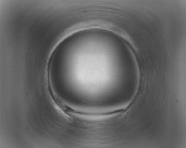 X0000083551516200702091045