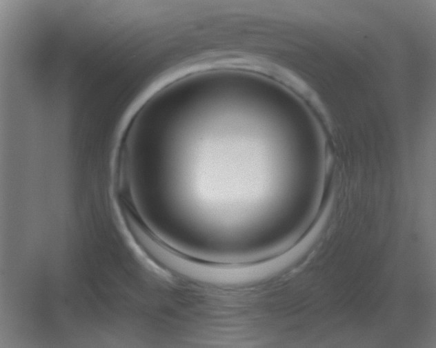 X0000083551520200702091045