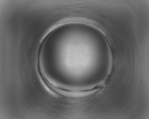 X0000083551523200702091045