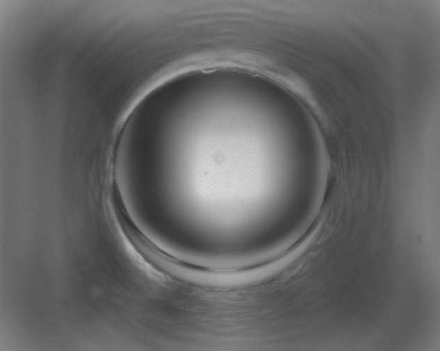 X0000083551524200702091045