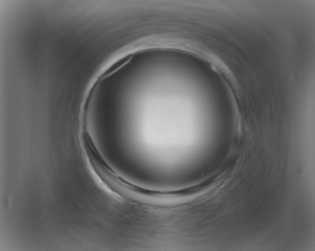 X0000083551528200702091045