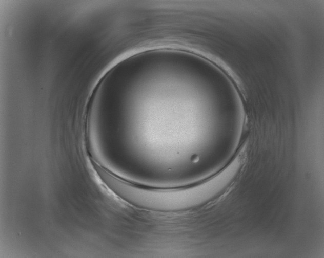 X0000083551534200702091045