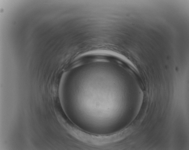 X0000083550039200702162013