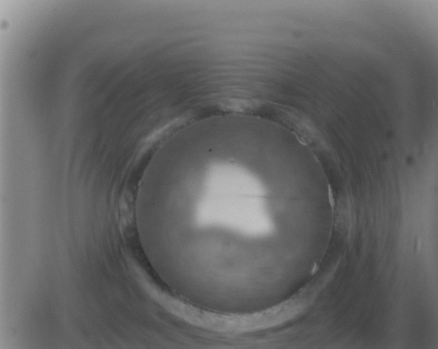 X0000083550043200702162013