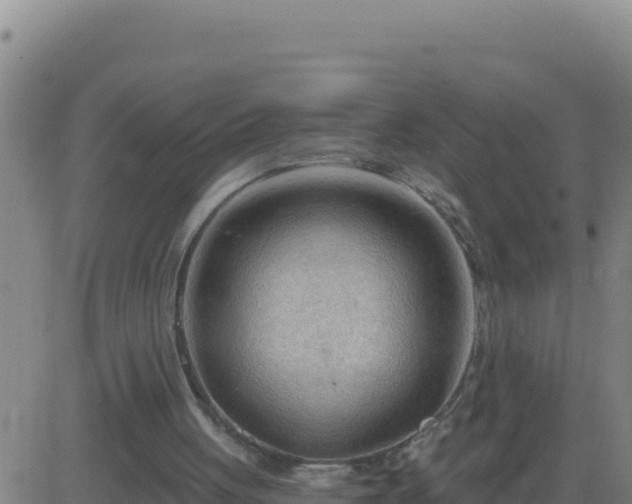 X0000083550051200702162013
