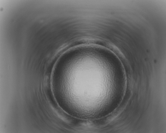 X0000083550071200702162013