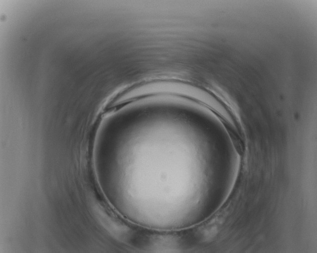 X0000083550107200702162012