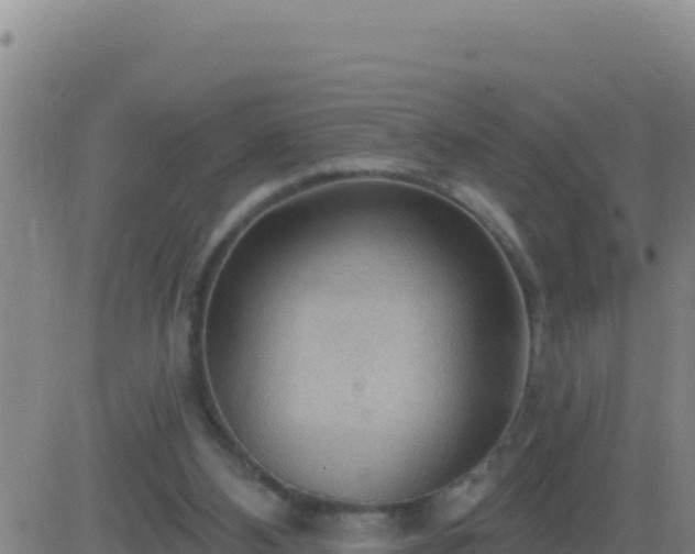 X0000083550108200702162012