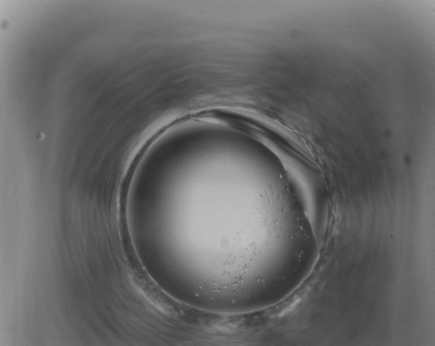 X0000083550148200702162011