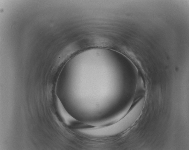 X0000083550154200702162011