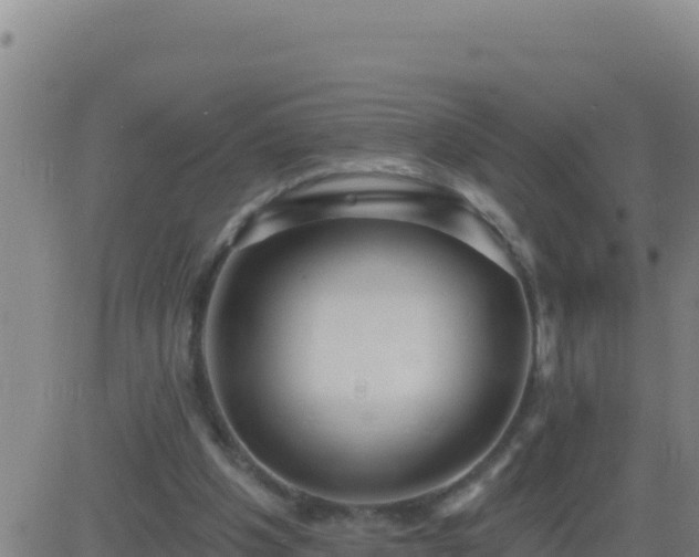 X0000083550201200702162011