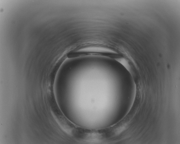 X0000083550212200702162011