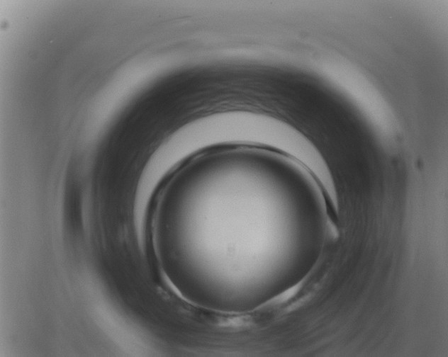 X0000083550382200702162009