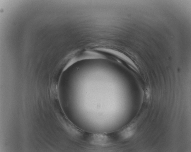 X0000083550429200702162007