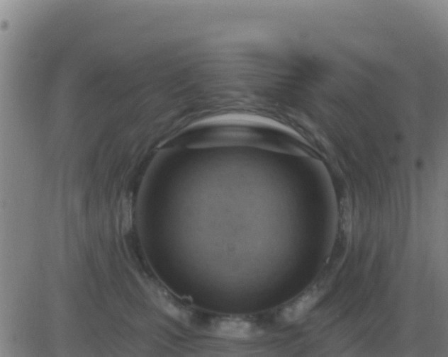 X0000083550471200702162007