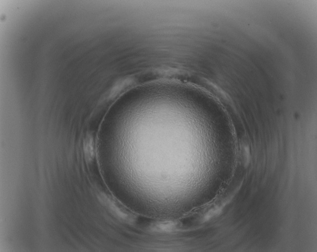 X0000083550479200702162007