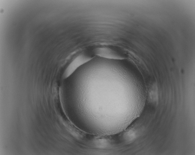 X0000083550620200702162004