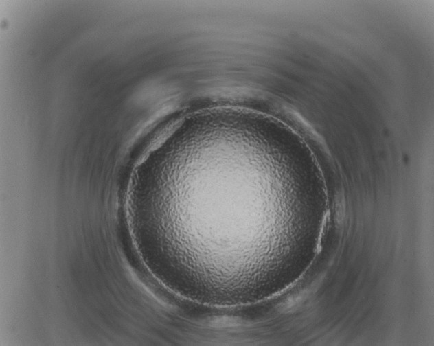 X0000083550637200702162003