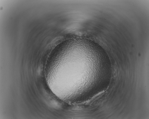X0000083550656200702162004