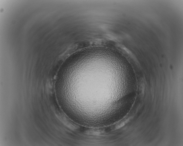 X0000083550661200702162004