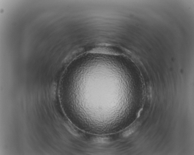 X0000083550664200702162004
