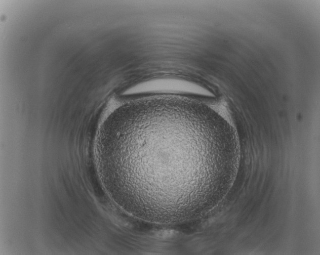 X0000083550695200702162003